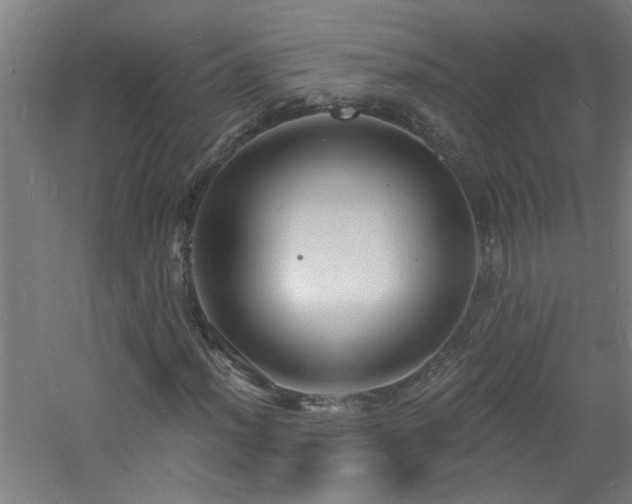 X0000060811012200511101447