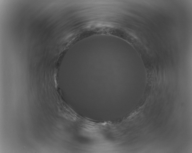 X0000060811013200511101447