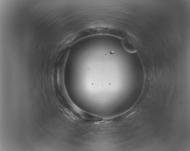 X0000060811014200511101447