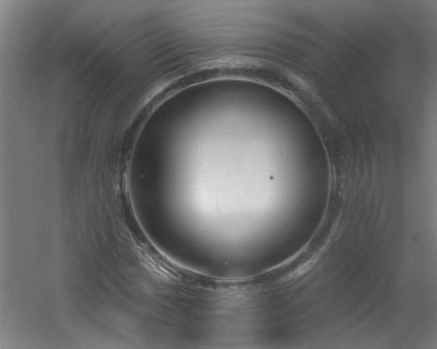 X0000060811017200511101447