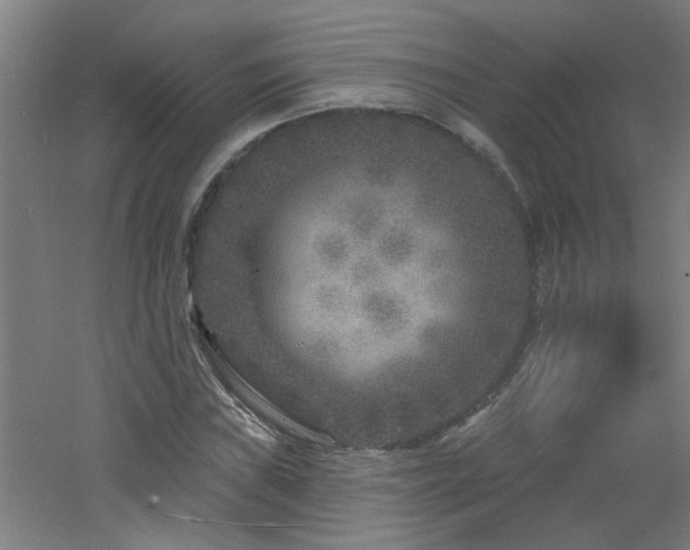 X0000060811019200511101447