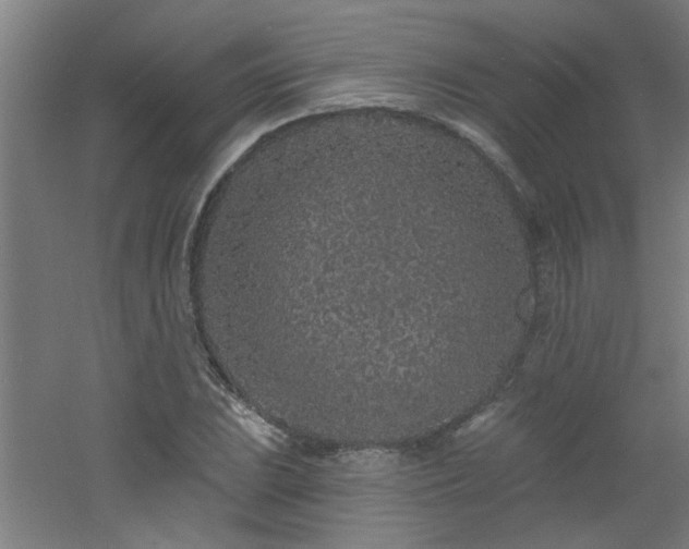 X0000060811023200511101447