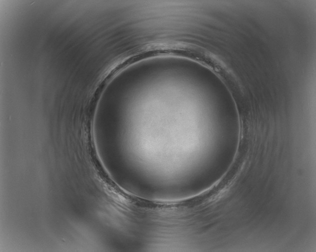 X0000060811025200511101447