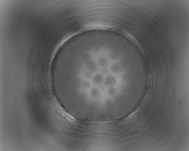 X0000060811027200511101447