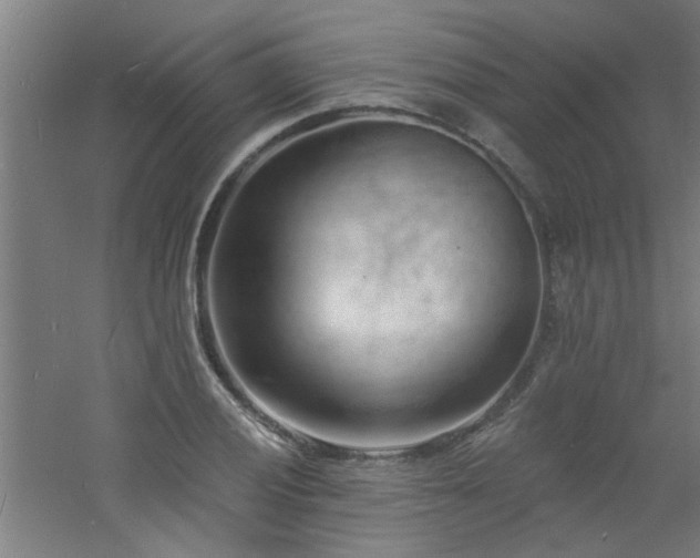 X0000060811028200511101447