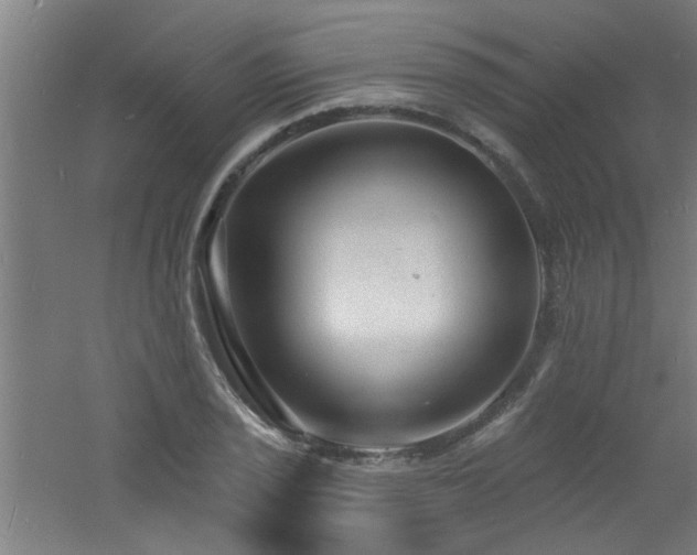 X0000060811029200511101447