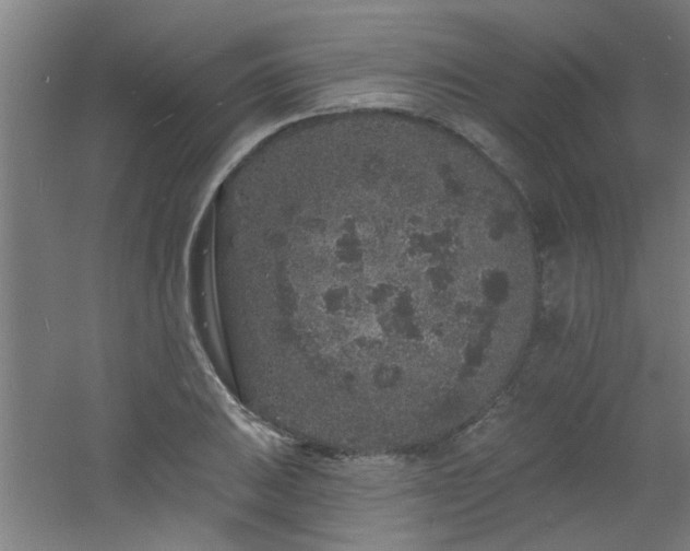 X0000060811031200511101447