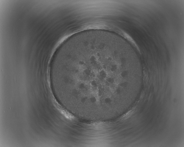 X0000060811035200511101447