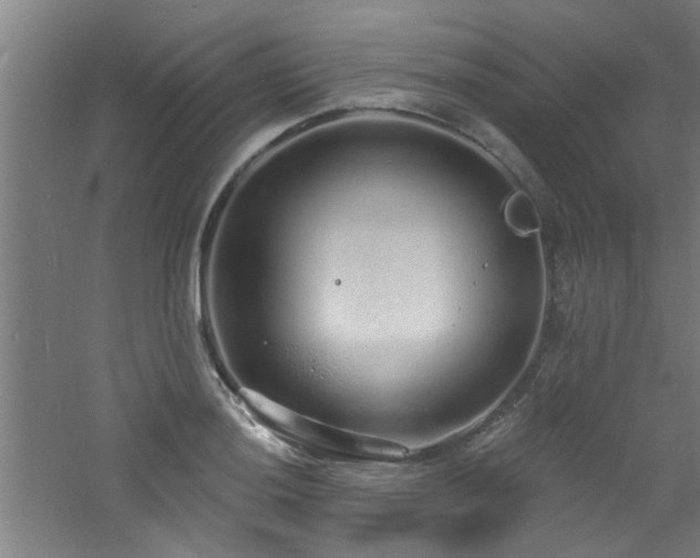 X0000060811036200511101447