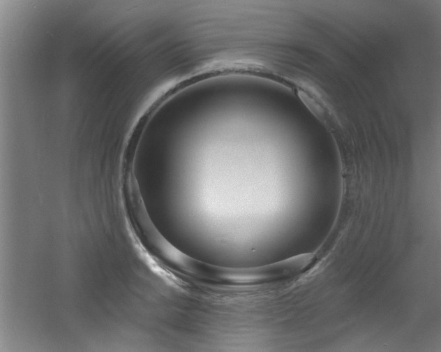 X0000060811038200511101447