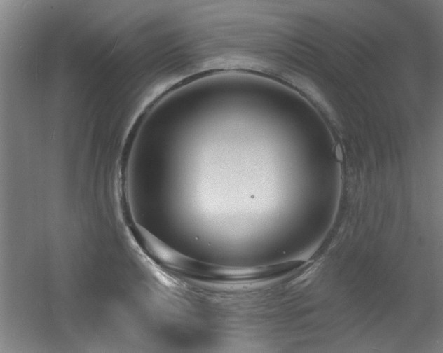 X0000060811040200511101448