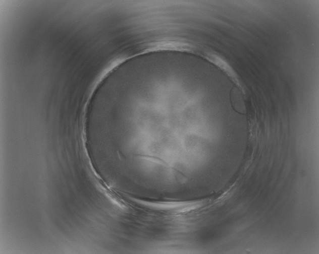 X0000060811043200511101448