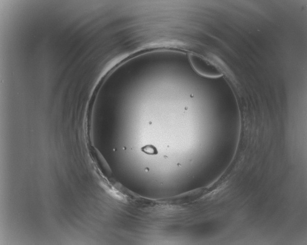 X0000060811044200511101448