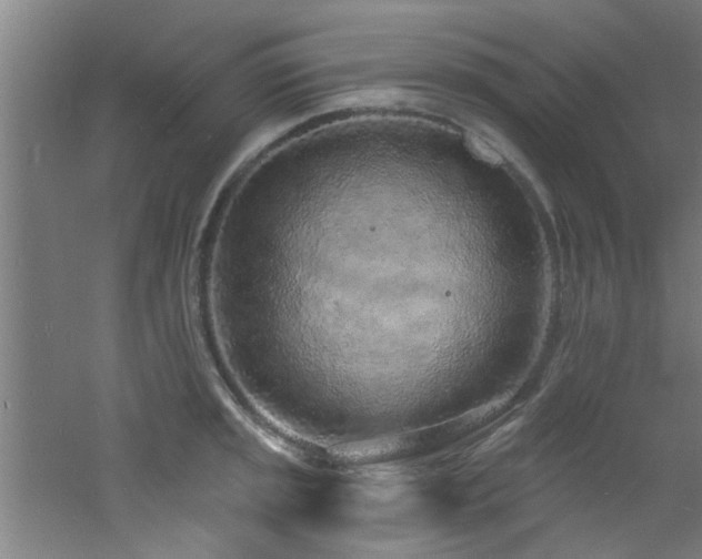 X0000060811045200511101448