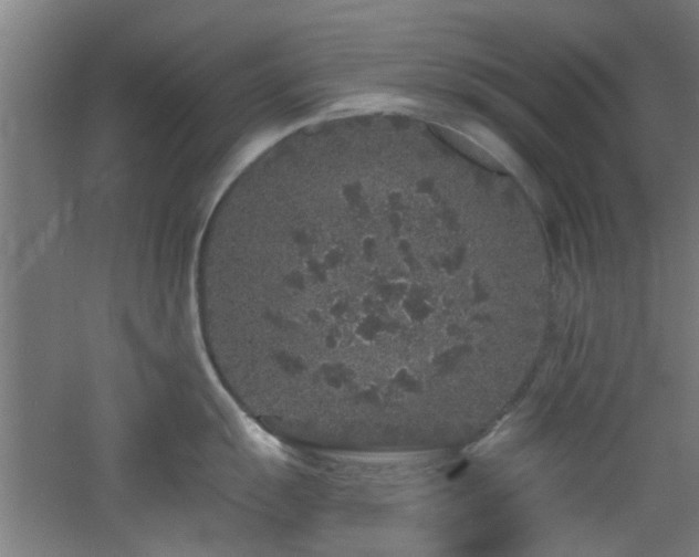 X0000060811055200511101448