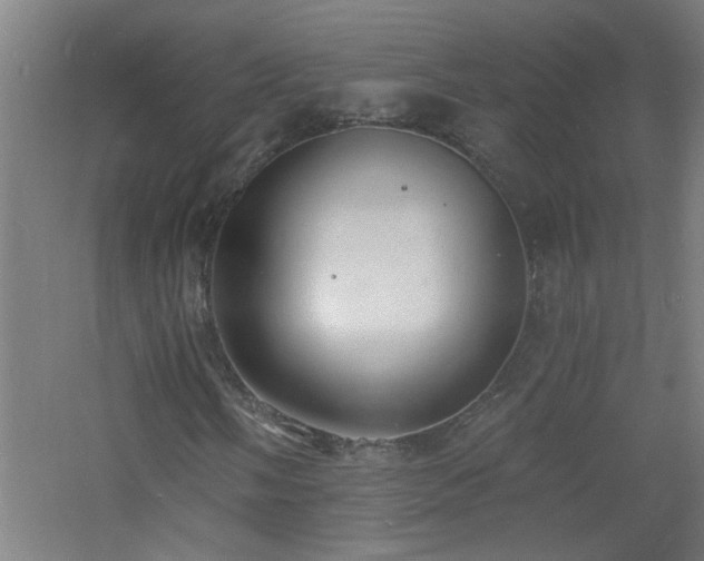 X0000060811058200511101447