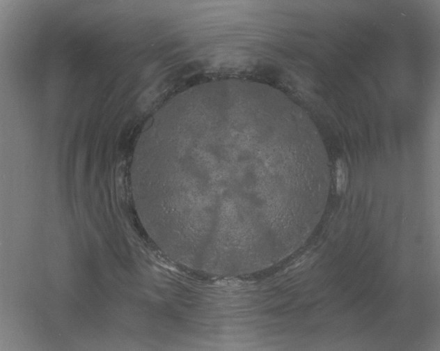 X0000060811059200511101447