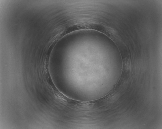 X0000060811060200511101447