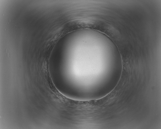 X0000060811061200511101447