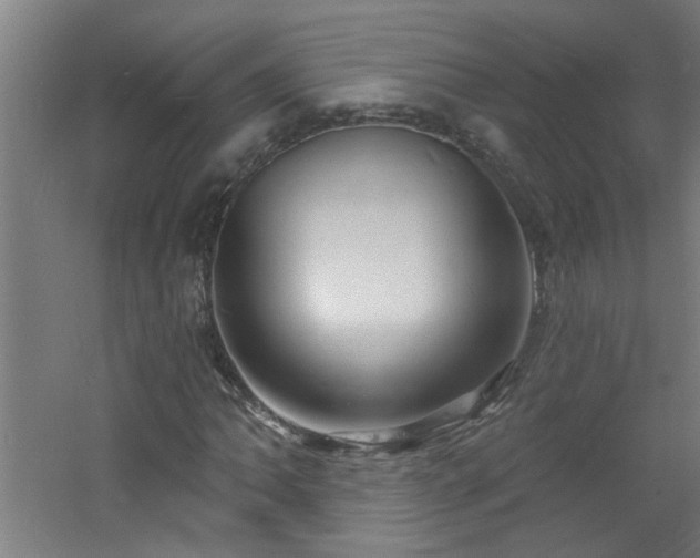 X0000060811062200511101447