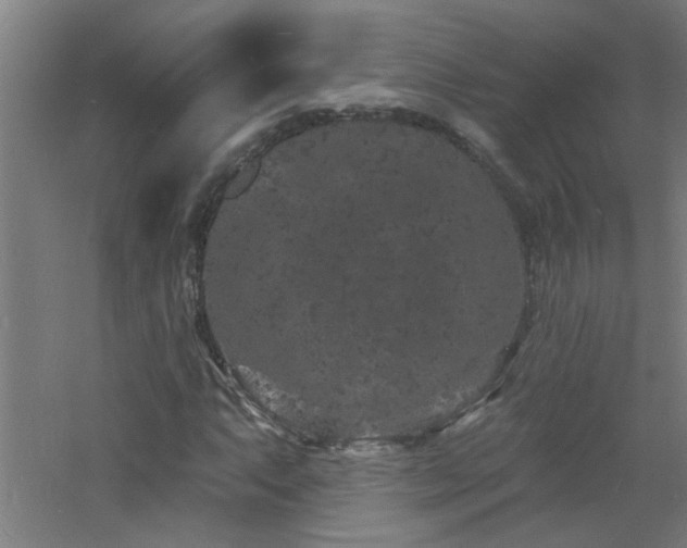 X0000060811063200511101447