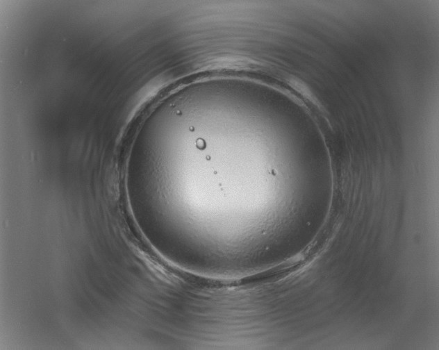 X0000060811067200511101447