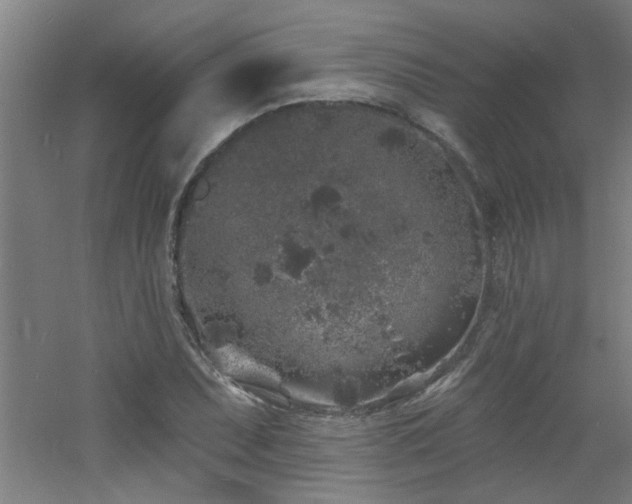 X0000060811071200511101447