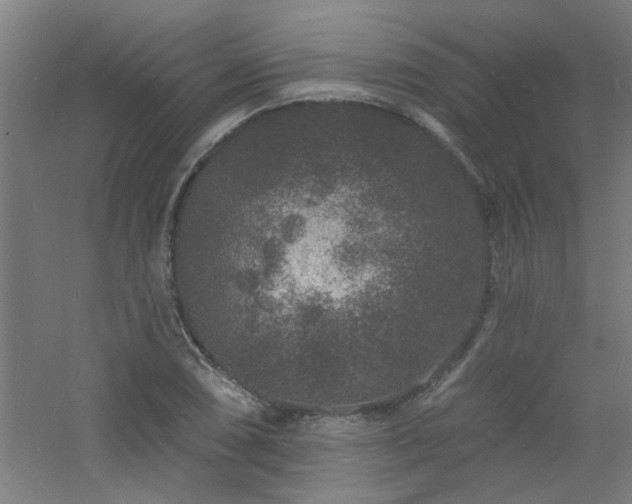 X0000060811074200511101447