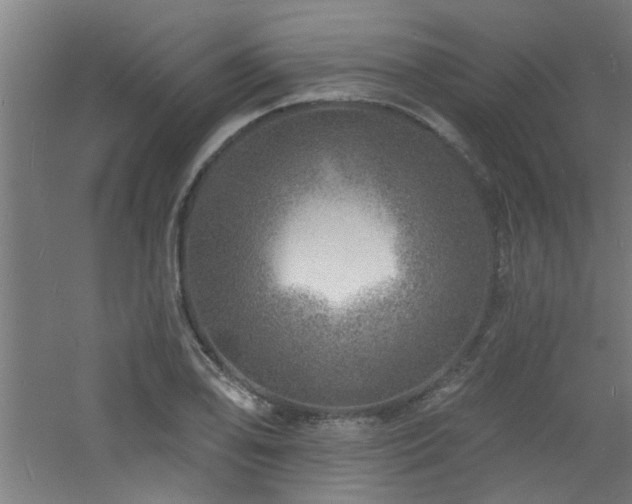 X0000060811078200511101447