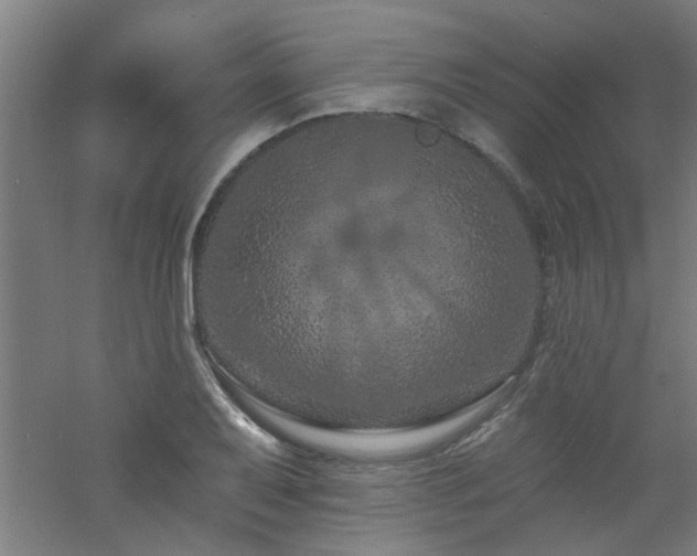 X0000060811079200511101447