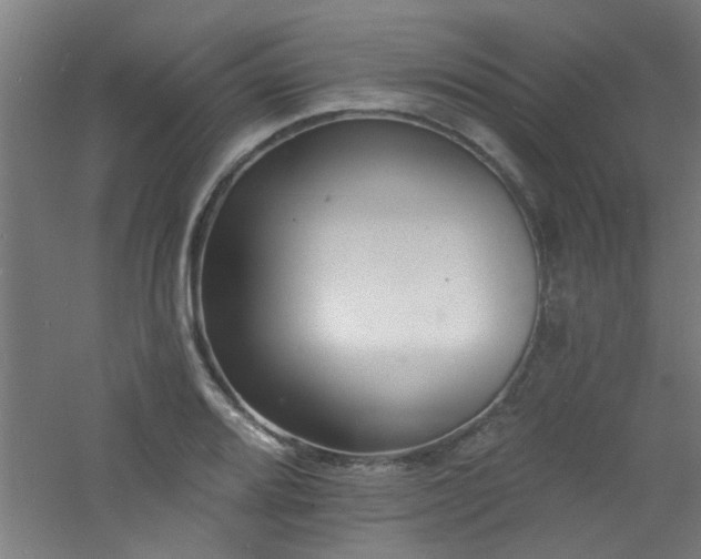 X0000060811080200511101447