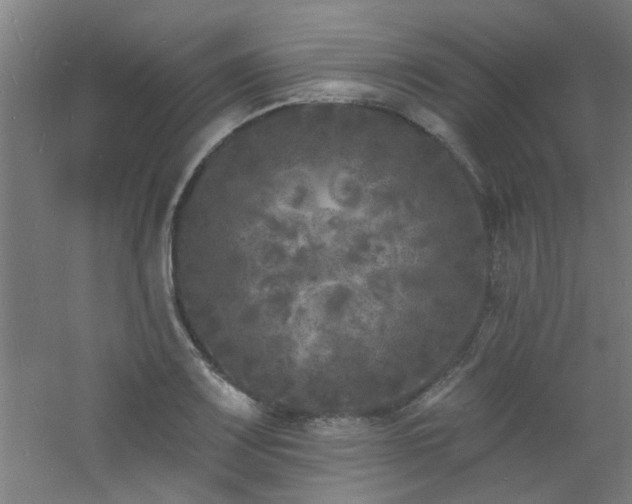 X0000060811083200511101447