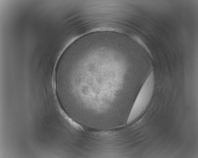 X0000060811084200511101447