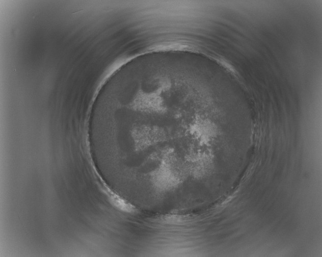 X0000060811086200511101446