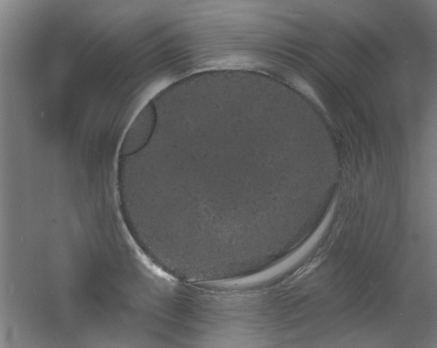 X0000060811087200511101446