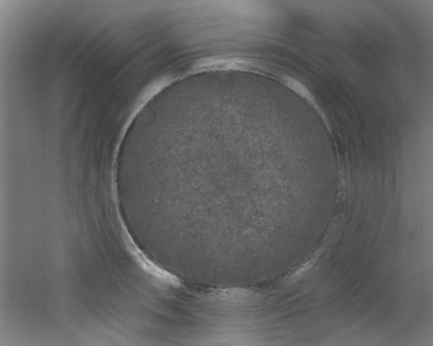 X0000060811090200511101446