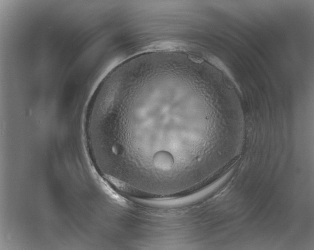 X0000060811091200511101446