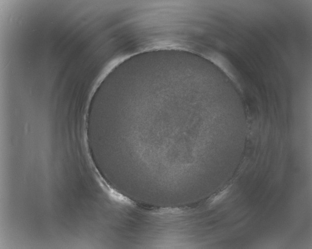 X0000060811094200511101446