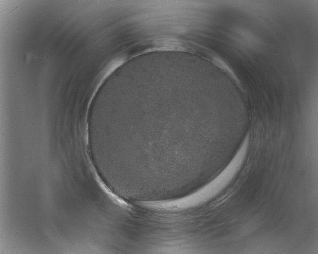 X0000060811095200511101446