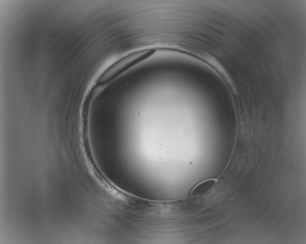 X0000060811096200511101446