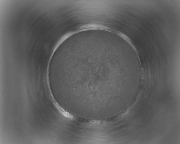 X0000060811098200511101446