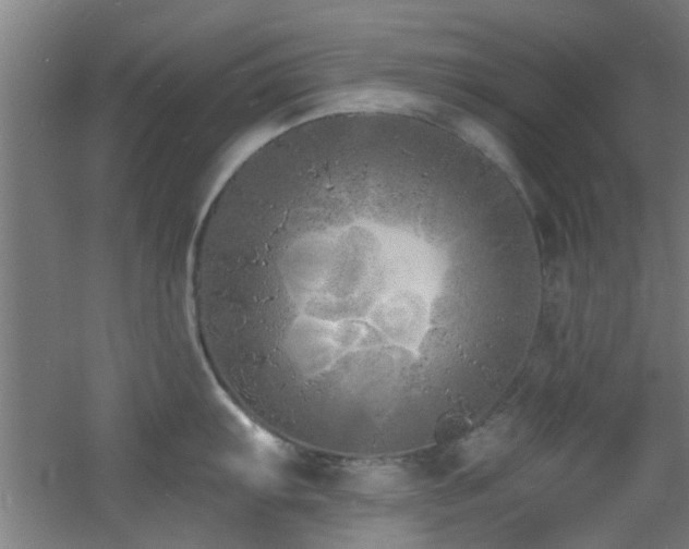 X0000060811103200511101446