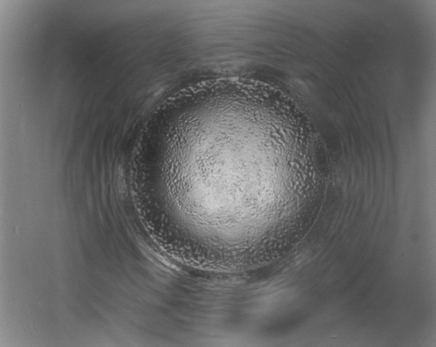 X0000060811106200511101445