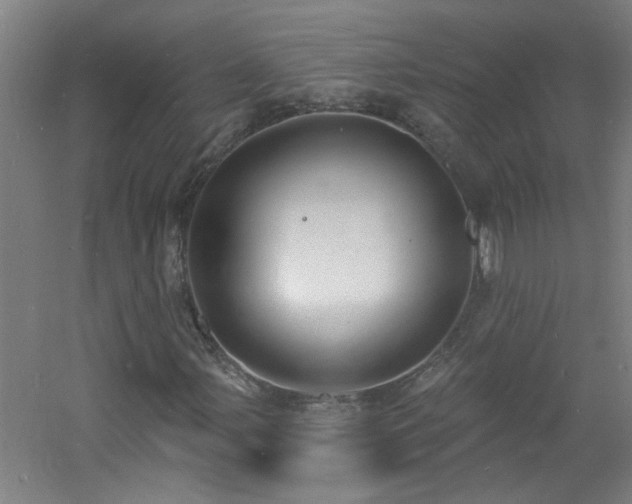 X0000060811107200511101445