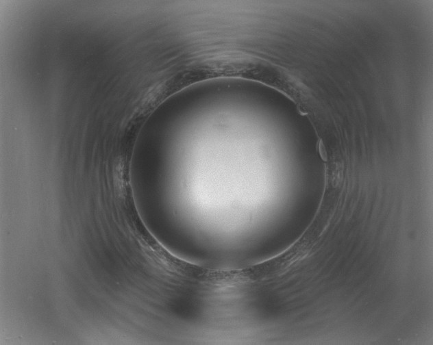 X0000060811108200511101445