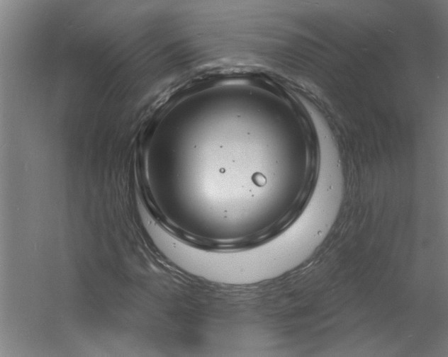 X0000060811110200511101445