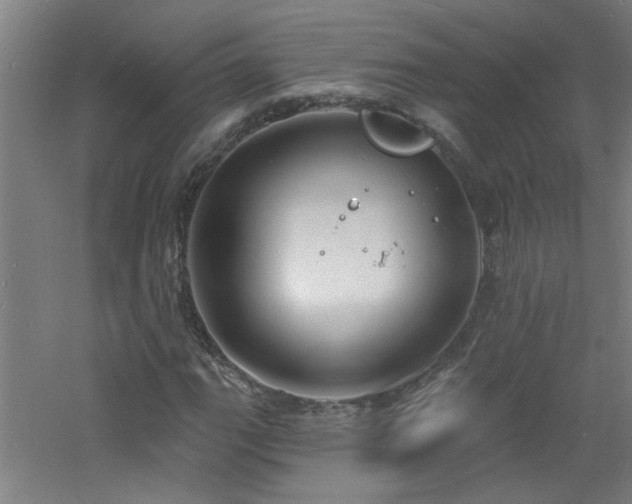 X0000060811111200511101445