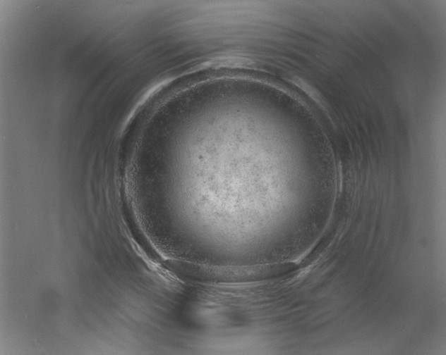 X0000060811115200511101446