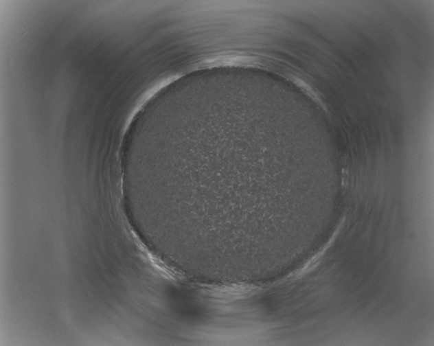 X0000060811117200511101446