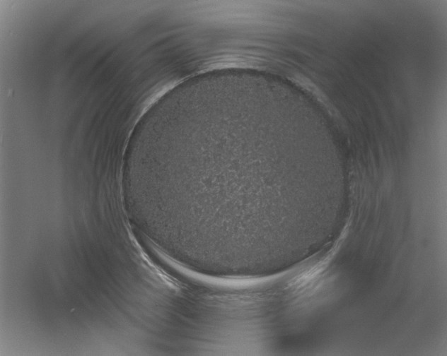 X0000060811121200511101446